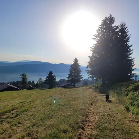 Apartmán Mitterdorf - Almberg