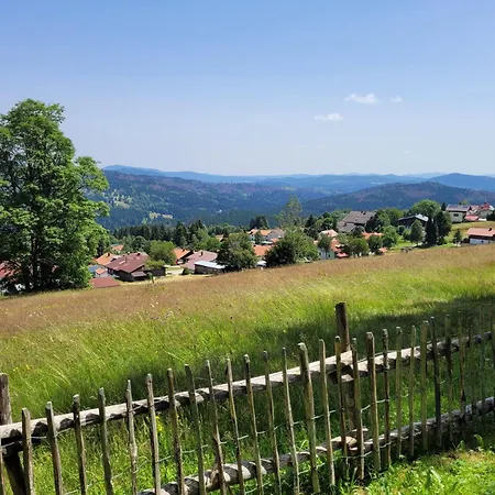Apartment Mitterdorf - Almberg *
