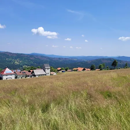 Mitterdorf - Almberg *