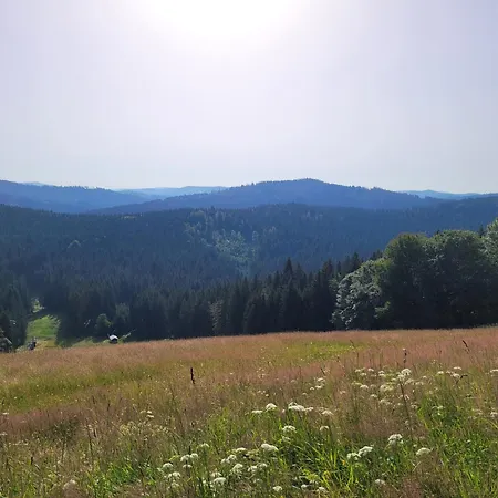 Mitterdorf - Almberg *