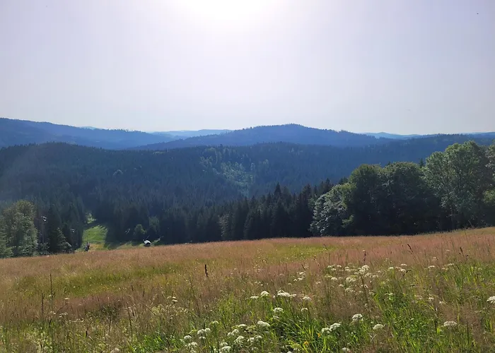 Mitterdorf - Almberg *