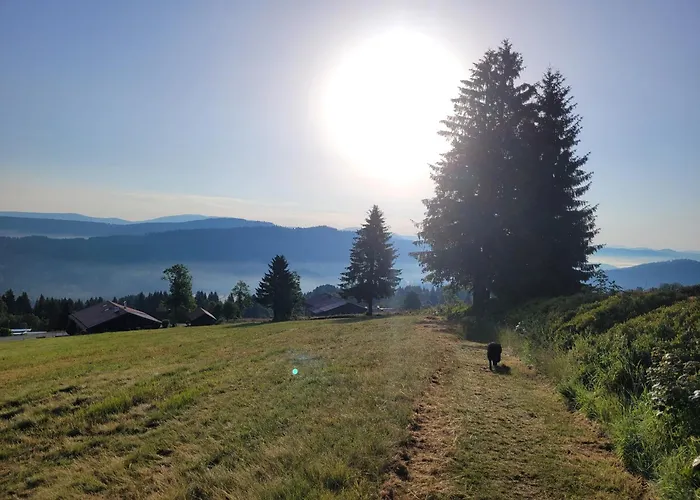 아파트 Mitterdorf - Almberg